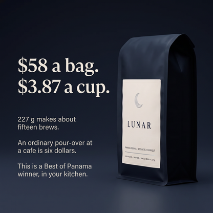 Luna Nueva Panama Geisha, Washed, Whole Bean 8oz