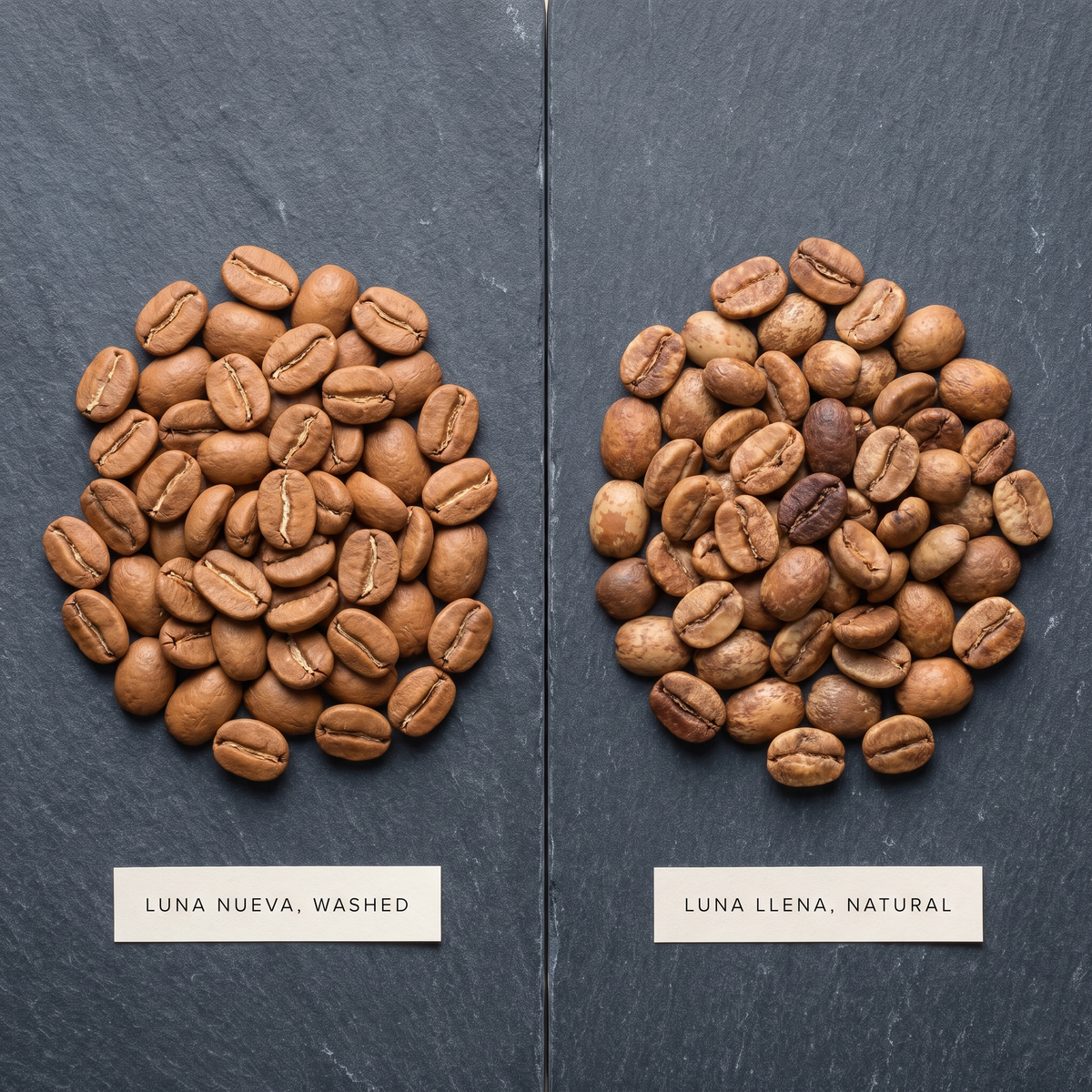 Fases, Panama Geisha Tasting Flight